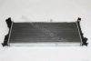 AUTOMEGA 3013000151 Radiator, engine cooling